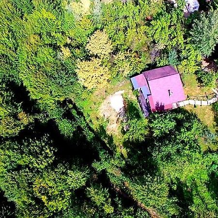 Mystically Wood House In The Forest Carjari المظهر الخارجي الصورة