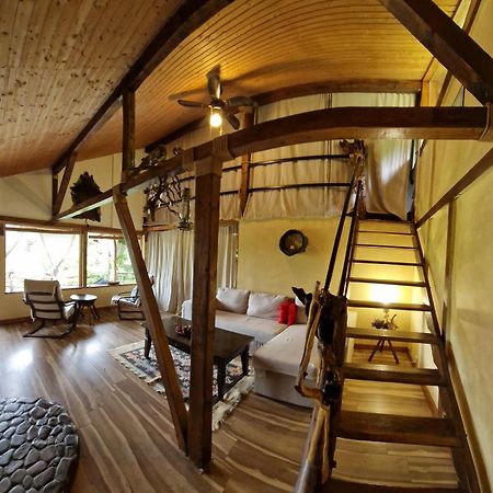 Mystically Wood House In The Forest Carjari المظهر الخارجي الصورة