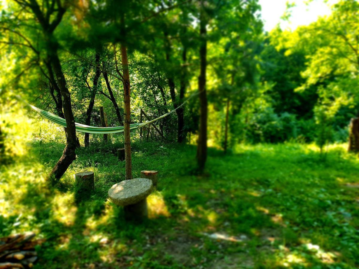 Mystically Wood House In The Forest Carjari المظهر الخارجي الصورة