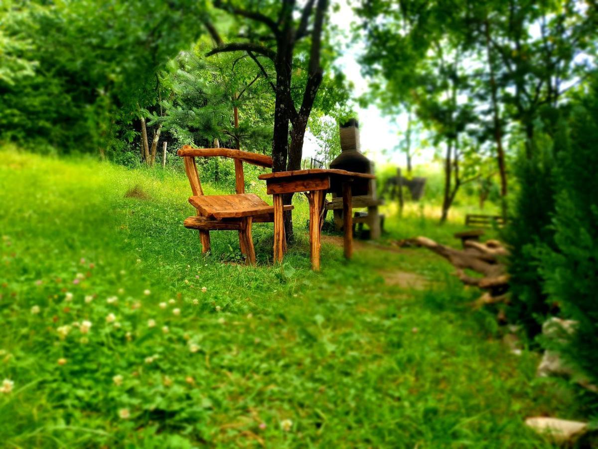 Mystically Wood House In The Forest Carjari المظهر الخارجي الصورة