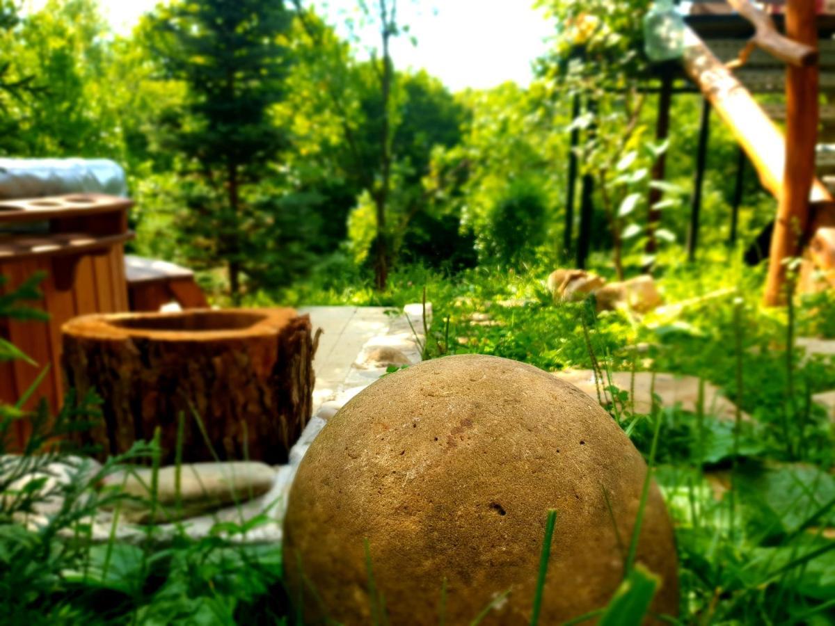 Mystically Wood House In The Forest Carjari المظهر الخارجي الصورة
