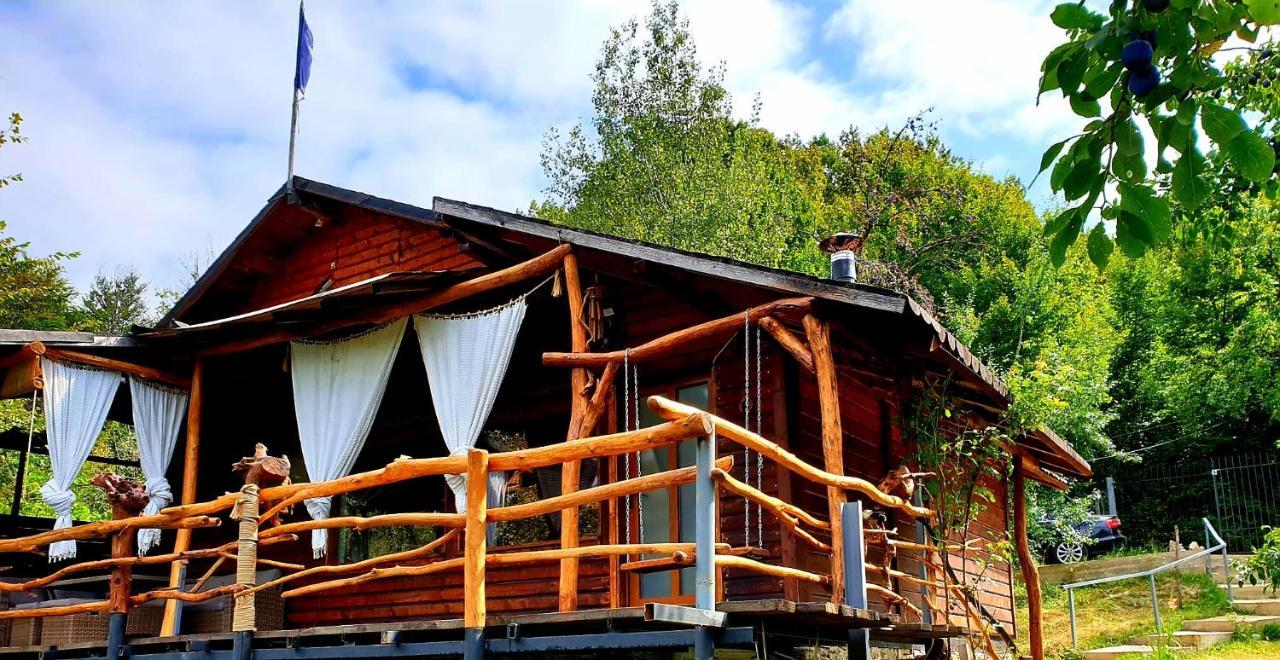 Mystically Wood House In The Forest Carjari المظهر الخارجي الصورة