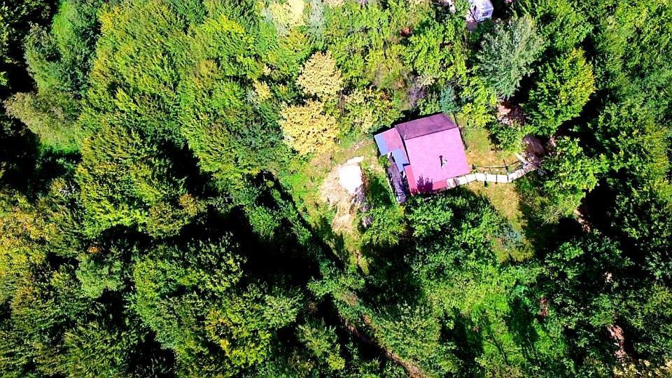 Mystically Wood House In The Forest Carjari المظهر الخارجي الصورة
